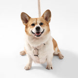 Nand Bouclé Adjustable H Harness and Leash Walk Set with Poop Bag Pouch