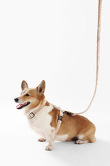 Nand Bouclé Adjustable H Harness and Leash Walk Set with Poop Bag Pouch