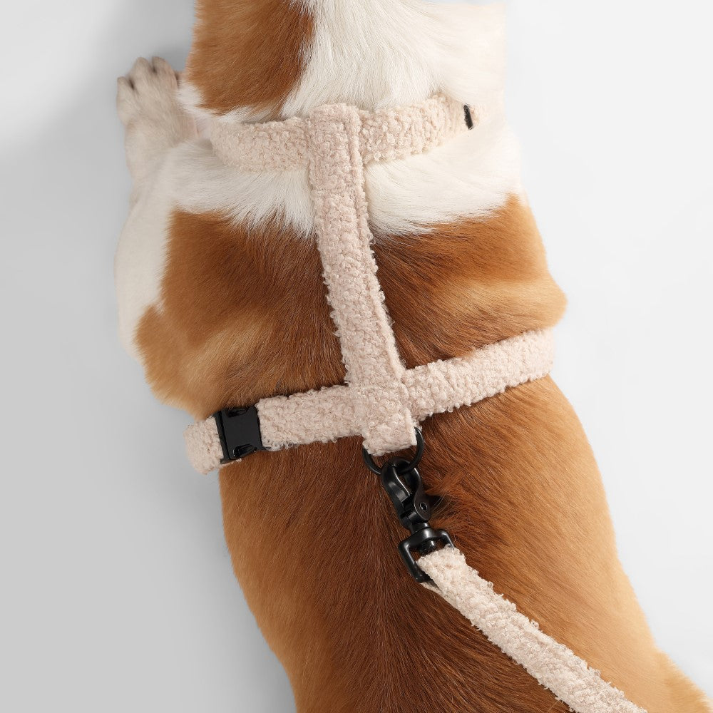 Nand Bouclé Adjustable H Harness and Leash Walk Set with Poop Bag Pouch