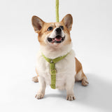 Nand Bouclé Adjustable H Harness and Leash Walk Set with Poop Bag Pouch