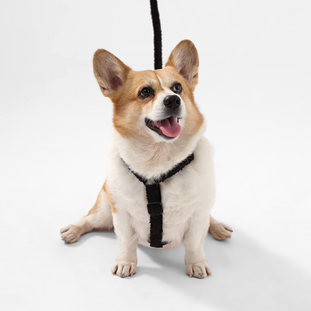Nand Bouclé Adjustable H Harness and Leash Walk Set with Poop Bag Pouch