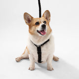 Nand Bouclé Adjustable H Harness and Leash Walk Set with Poop Bag Pouch