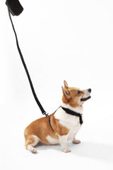 Nand Bouclé Adjustable H Harness and Leash Walk Set with Poop Bag Pouch