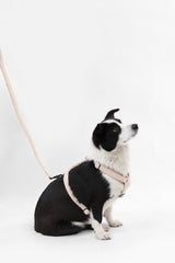 Nand Bouclé Adjustable H Harness and Leash Walk Set with Poop Bag Pouch