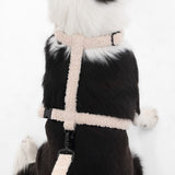 Nand Bouclé Adjustable H Harness and Leash Walk Set with Poop Bag Pouch