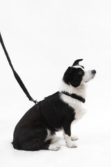 Nand Bouclé Adjustable H Harness and Leash Walk Set with Poop Bag Pouch