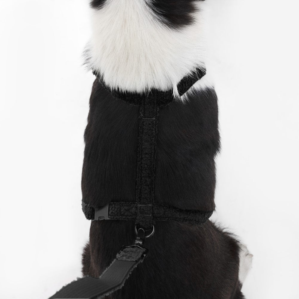 Nand Bouclé Adjustable H Harness and Leash Walk Set with Poop Bag Pouch