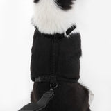 Nand Bouclé Adjustable H Harness and Leash Walk Set with Poop Bag Pouch
