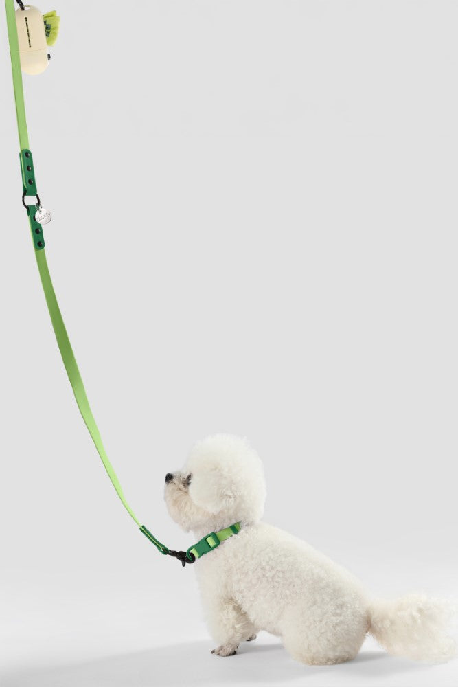 Shri 8FT Adjustable 6-in-1 Waterproof Hands-Free Leash and Collar with LED Flashlight Bag Dispenser and Poop Bag Holder