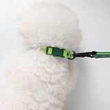 Shri 8FT Adjustable 6-in-1 Waterproof Hands-Free Leash and Collar with LED Flashlight Bag Dispenser and Poop Bag Holder