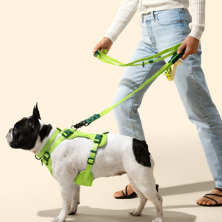 Shri 8FT Adjustable 6-in-1 Waterproof Hands-Free Leash and Collar with LED Flashlight Bag Dispenser and Poop Bag Holder