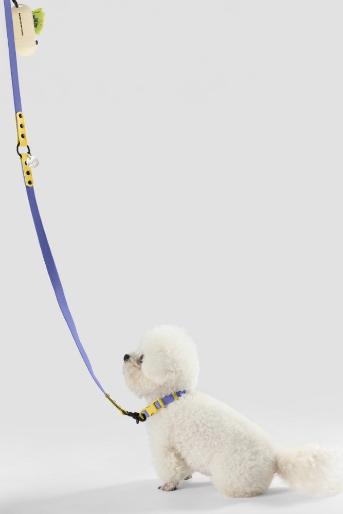 Shri 8FT Adjustable 6-in-1 Waterproof Hands-Free Leash and Collar with LED Flashlight Bag Dispenser and Poop Bag Holder