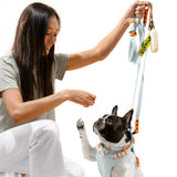Shri 8FT Adjustable 6-in-1 Waterproof Hands-Free Leash and Collar with LED Flashlight Bag Dispenser and Poop Bag Holder