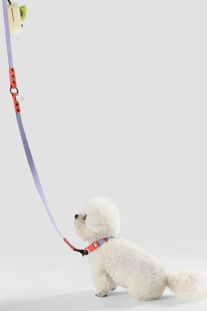 Shri 8FT Adjustable 6-in-1 Waterproof Hands-Free Leash and Collar with LED Flashlight Bag Dispenser and Poop Bag Holder