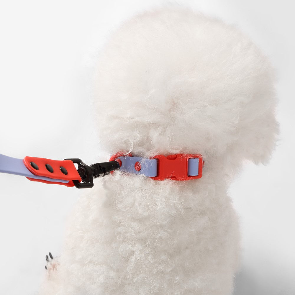 Shri 8FT Adjustable 6-in-1 Waterproof Hands-Free Leash and Collar with LED Flashlight Bag Dispenser and Poop Bag Holder