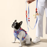 Shri 8FT Adjustable 6-in-1 Waterproof Hands-Free Leash and Collar with LED Flashlight Bag Dispenser and Poop Bag Holder