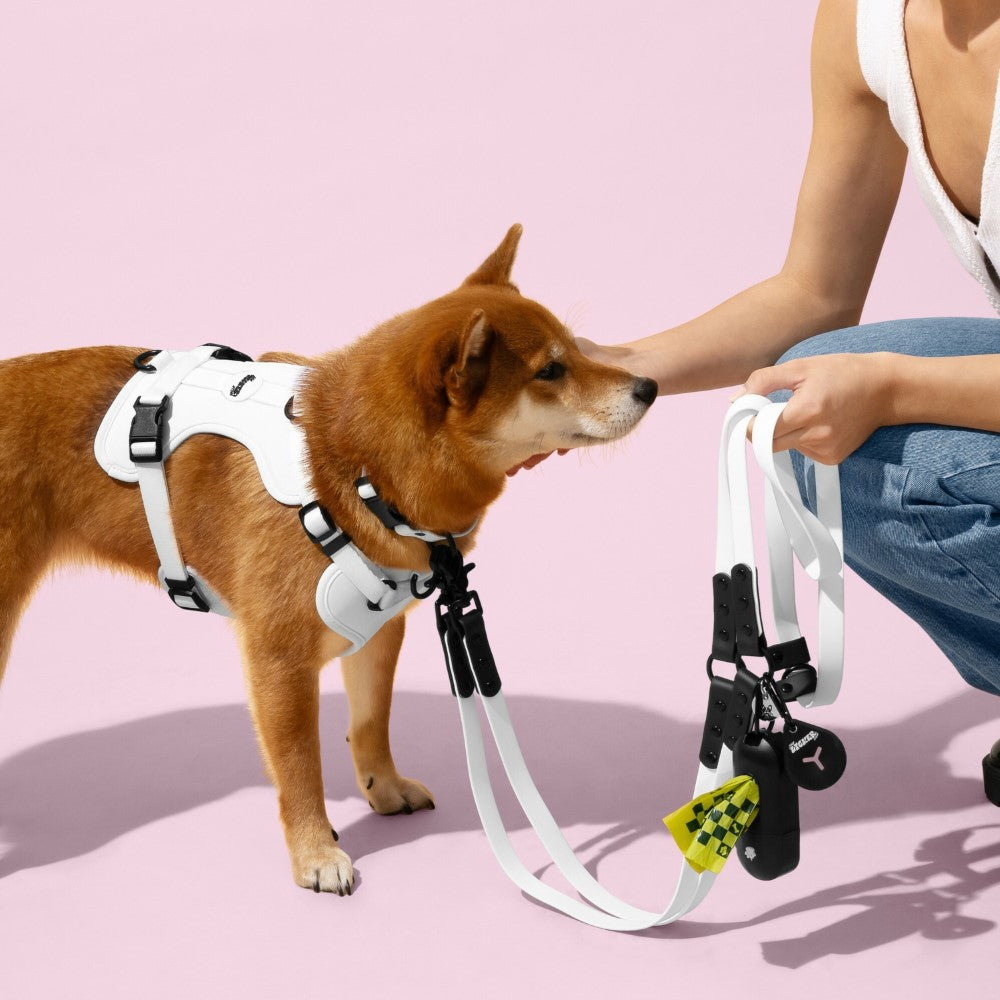 Shri 8FT Adjustable 6-in-1 Waterproof Hands-Free Leash and Collar with LED Flashlight Bag Dispenser and Poop Bag Holder