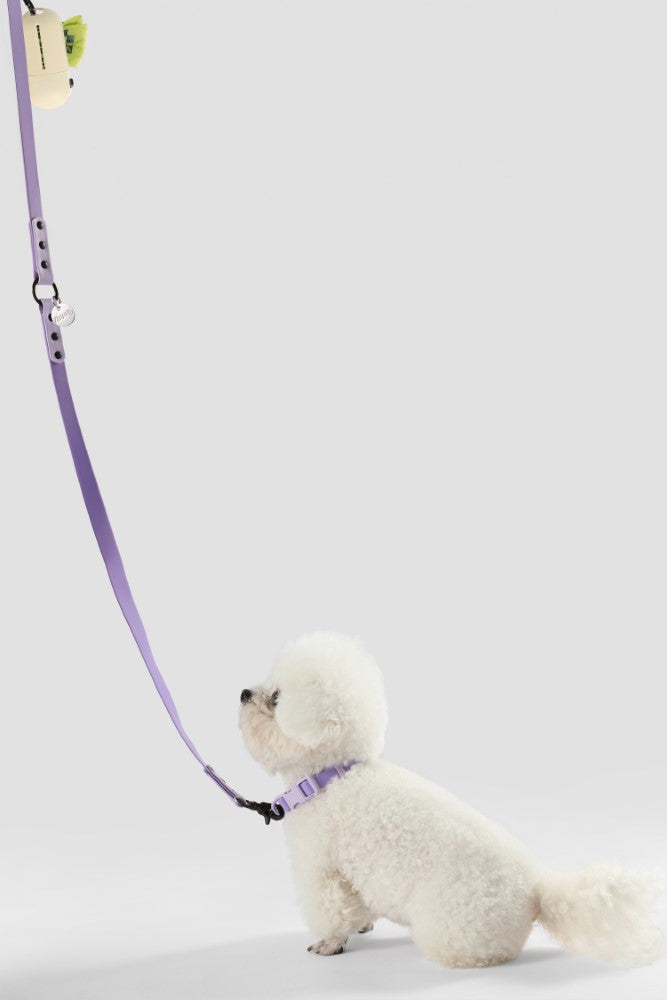Shri 8FT Adjustable 6-in-1 Waterproof Hands-Free Leash and Collar with LED Flashlight Bag Dispenser and Poop Bag Holder