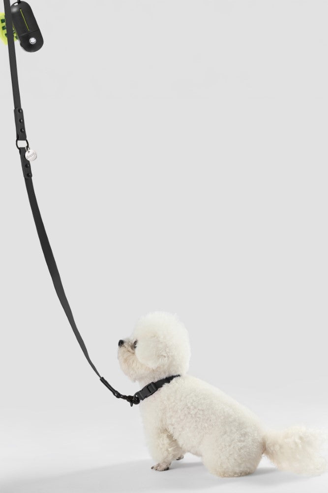 Shri 8FT Adjustable 6-in-1 Waterproof Hands-Free Leash and Collar with LED Flashlight Bag Dispenser and Poop Bag Holder