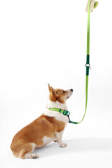 Shri 8FT Adjustable 6-in-1 Waterproof Hands-Free Leash and Collar with LED Flashlight Bag Dispenser and Poop Bag Holder