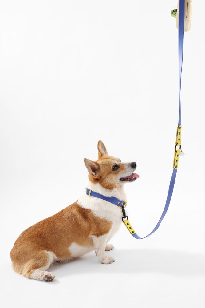 Shri 8FT Adjustable 6-in-1 Waterproof Hands-Free Leash and Collar with LED Flashlight Bag Dispenser and Poop Bag Holder