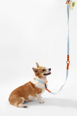 Shri 8FT Adjustable 6-in-1 Waterproof Hands-Free Leash and Collar with LED Flashlight Bag Dispenser and Poop Bag Holder