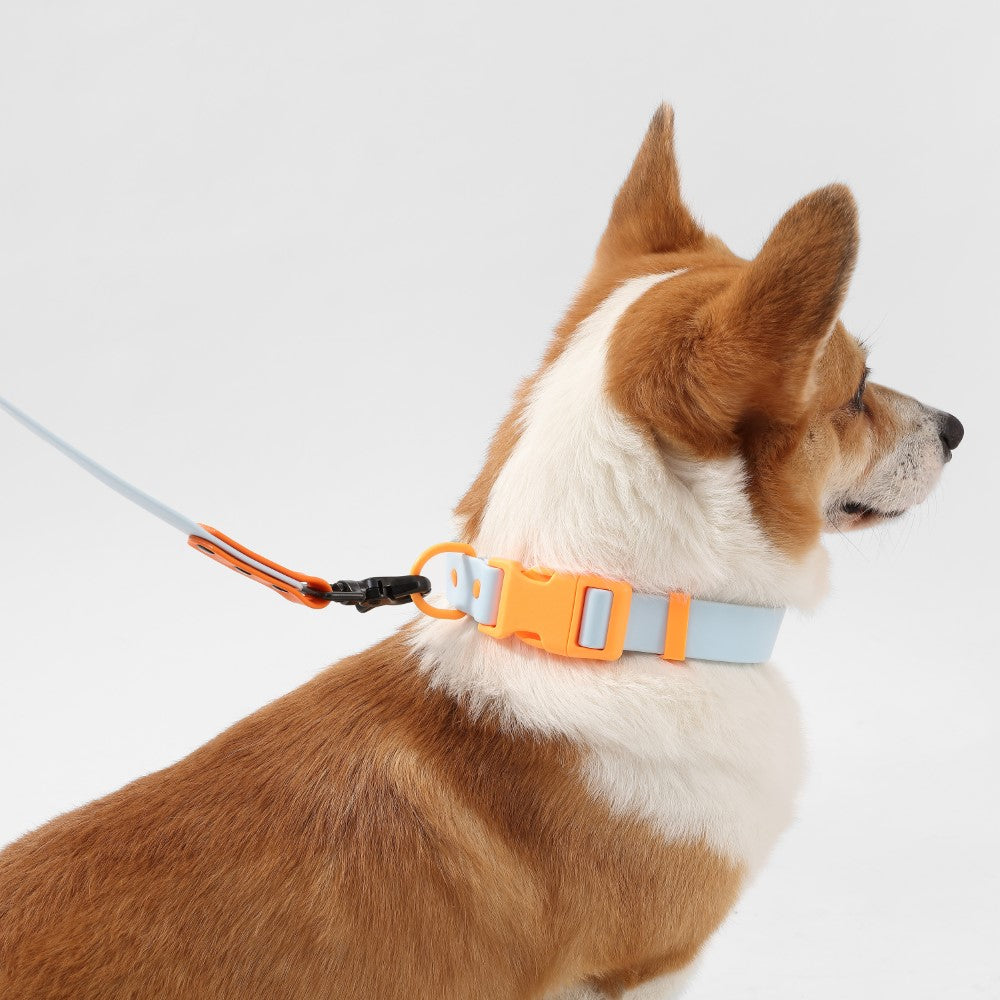 Shri 8FT Adjustable 6-in-1 Waterproof Hands-Free Leash and Collar with LED Flashlight Bag Dispenser and Poop Bag Holder