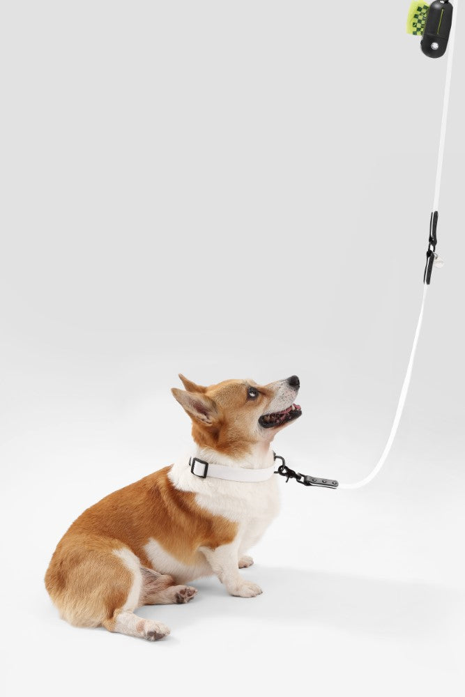 Shri 8FT Adjustable 6-in-1 Waterproof Hands-Free Leash and Collar with LED Flashlight Bag Dispenser and Poop Bag Holder