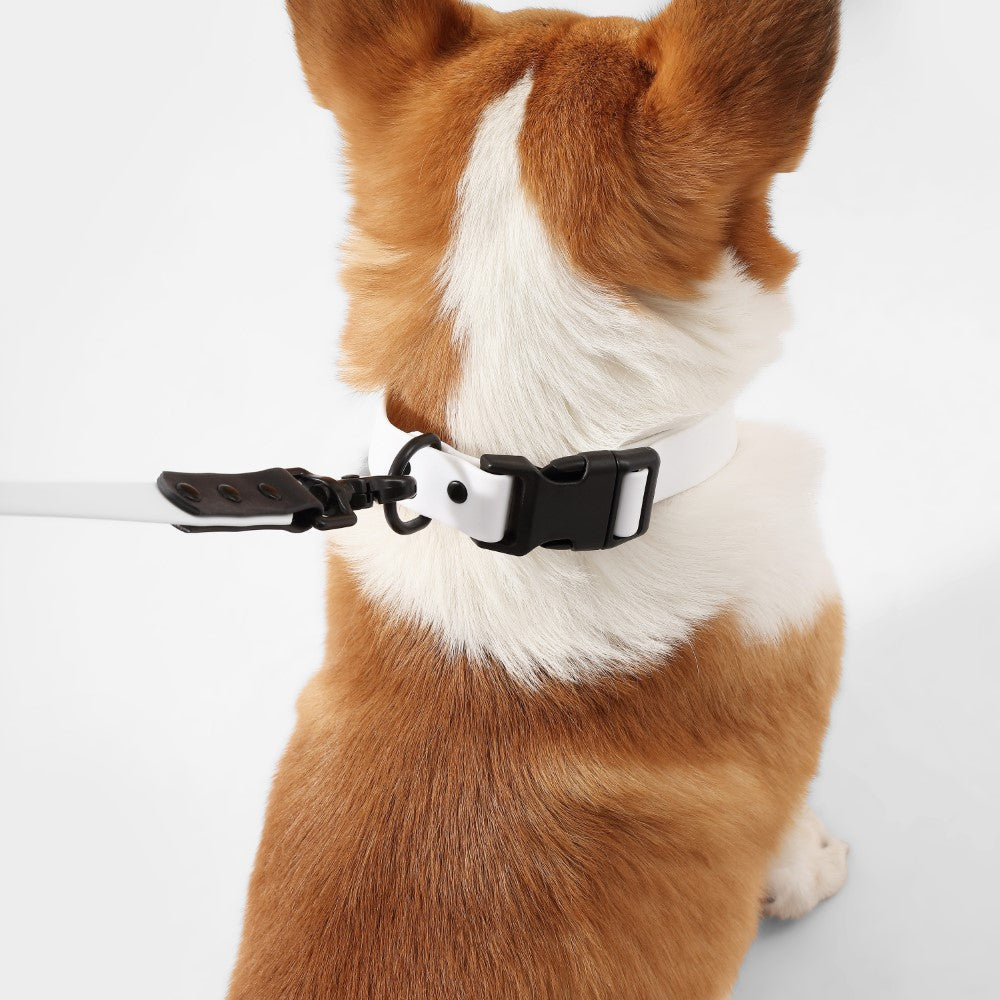 Shri 8FT Adjustable 6-in-1 Waterproof Hands-Free Leash and Collar with LED Flashlight Bag Dispenser and Poop Bag Holder
