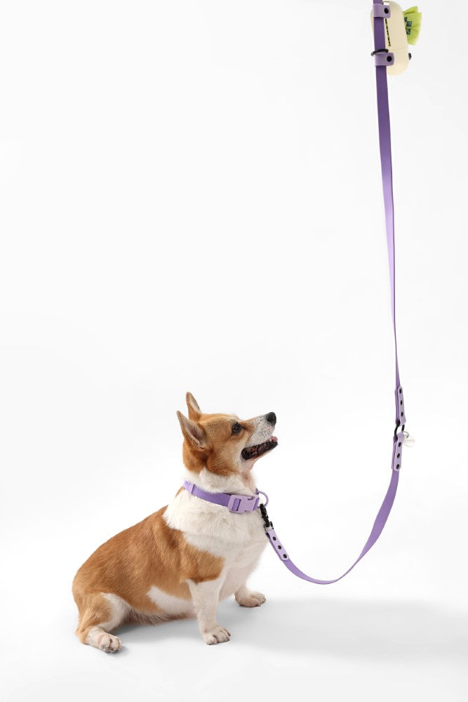 Shri 8FT Adjustable 6-in-1 Waterproof Hands-Free Leash and Collar with LED Flashlight Bag Dispenser and Poop Bag Holder