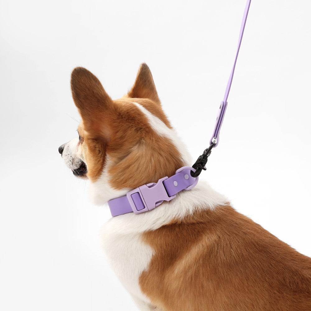 Shri 8FT Adjustable 6-in-1 Waterproof Hands-Free Leash and Collar with LED Flashlight Bag Dispenser and Poop Bag Holder