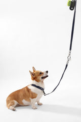 Shri 8FT Adjustable 6-in-1 Waterproof Hands-Free Leash and Collar with LED Flashlight Bag Dispenser and Poop Bag Holder