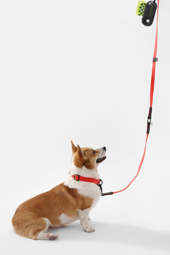 Shri 8FT Adjustable 6-in-1 Waterproof Hands-Free Leash and Collar with LED Flashlight Bag Dispenser and Poop Bag Holder