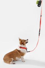 Shri 8FT Adjustable 6-in-1 Waterproof Hands-Free Leash and Collar with LED Flashlight Bag Dispenser and Poop Bag Holder