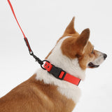 Shri 8FT Adjustable 6-in-1 Waterproof Hands-Free Leash and Collar with LED Flashlight Bag Dispenser and Poop Bag Holder
