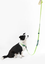 Shri 8FT Adjustable 6-in-1 Waterproof Hands-Free Leash and Collar with LED Flashlight Bag Dispenser and Poop Bag Holder