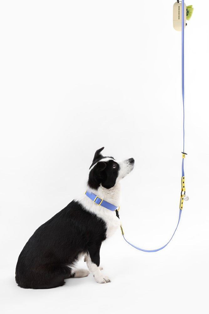 Shri 8FT Adjustable 6-in-1 Waterproof Hands-Free Leash and Collar with LED Flashlight Bag Dispenser and Poop Bag Holder