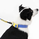 Shri 8FT Adjustable 6-in-1 Waterproof Hands-Free Leash and Collar with LED Flashlight Bag Dispenser and Poop Bag Holder