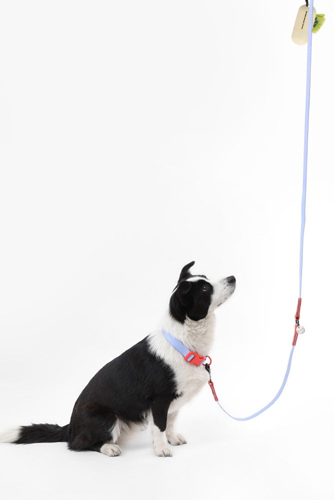 Shri 8FT Adjustable 6-in-1 Waterproof Hands-Free Leash and Collar with LED Flashlight Bag Dispenser and Poop Bag Holder