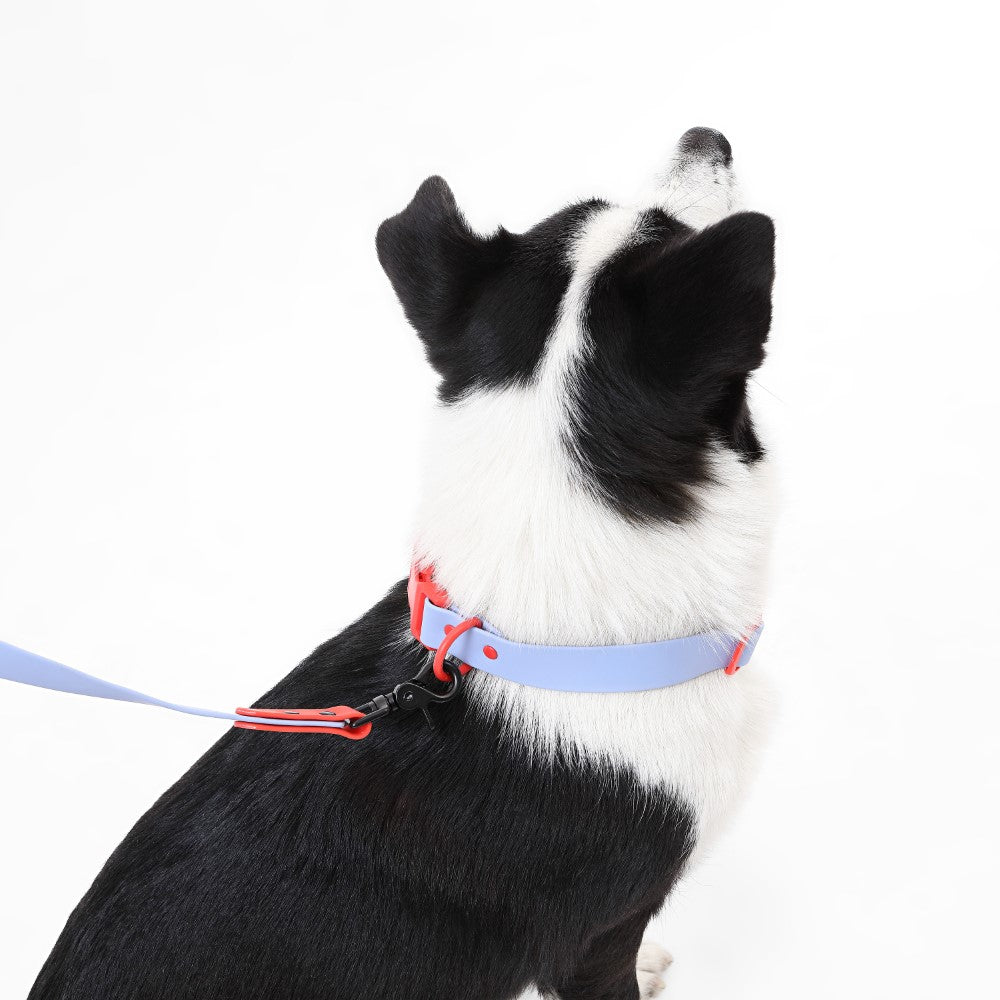 Shri 8FT Adjustable 6-in-1 Waterproof Hands-Free Leash and Collar with LED Flashlight Bag Dispenser and Poop Bag Holder