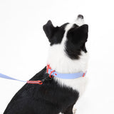 Shri 8FT Adjustable 6-in-1 Waterproof Hands-Free Leash and Collar with LED Flashlight Bag Dispenser and Poop Bag Holder