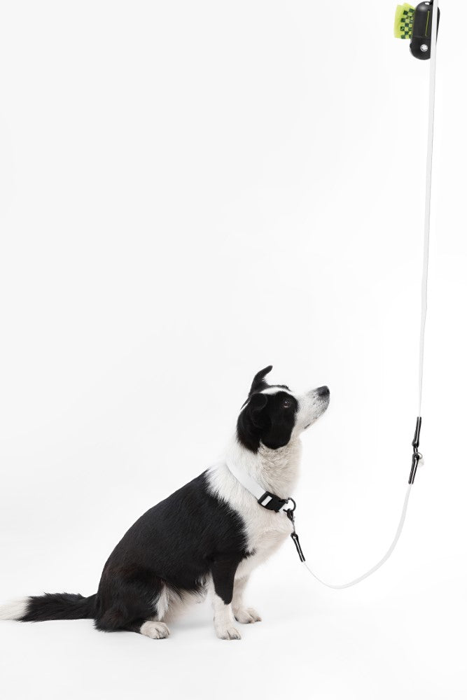 Shri 8FT Adjustable 6-in-1 Waterproof Hands-Free Leash and Collar with LED Flashlight Bag Dispenser and Poop Bag Holder