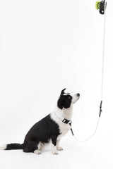 Shri 8FT Adjustable 6-in-1 Waterproof Hands-Free Leash and Collar with LED Flashlight Bag Dispenser and Poop Bag Holder