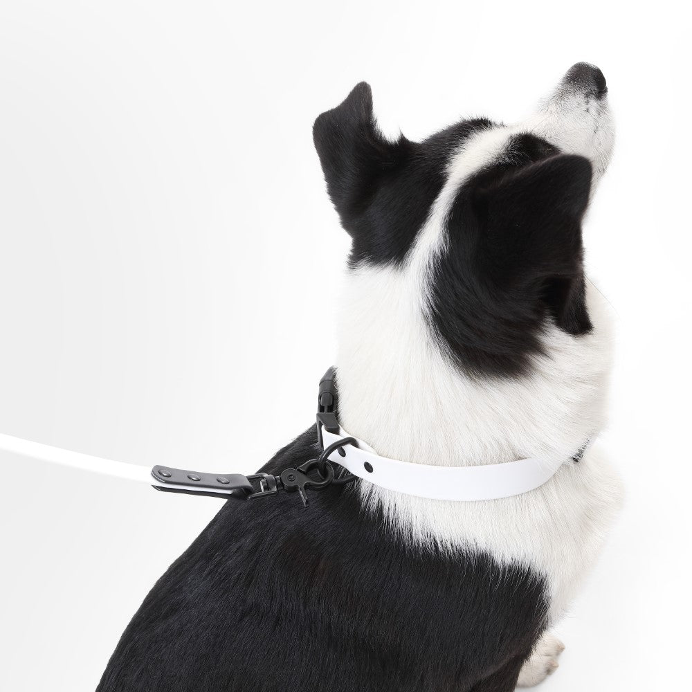 Shri 8FT Adjustable 6-in-1 Waterproof Hands-Free Leash and Collar with LED Flashlight Bag Dispenser and Poop Bag Holder