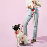 Shri 8FT Adjustable 6-in-1 Waterproof Hands-Free Leash and Collar with LED Flashlight Bag Dispenser and Poop Bag Holder