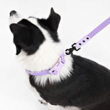 Shri 8FT Adjustable 6-in-1 Waterproof Hands-Free Leash and Collar with LED Flashlight Bag Dispenser and Poop Bag Holder