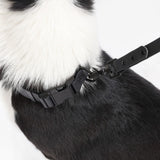 Shri 8FT Adjustable 6-in-1 Waterproof Hands-Free Leash and Collar with LED Flashlight Bag Dispenser and Poop Bag Holder