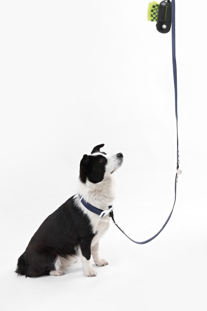 Shri 8FT Adjustable 6-in-1 Waterproof Hands-Free Leash and Collar with LED Flashlight Bag Dispenser and Poop Bag Holder
