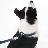 Shri 8FT Adjustable 6-in-1 Waterproof Hands-Free Leash and Collar with LED Flashlight Bag Dispenser and Poop Bag Holder