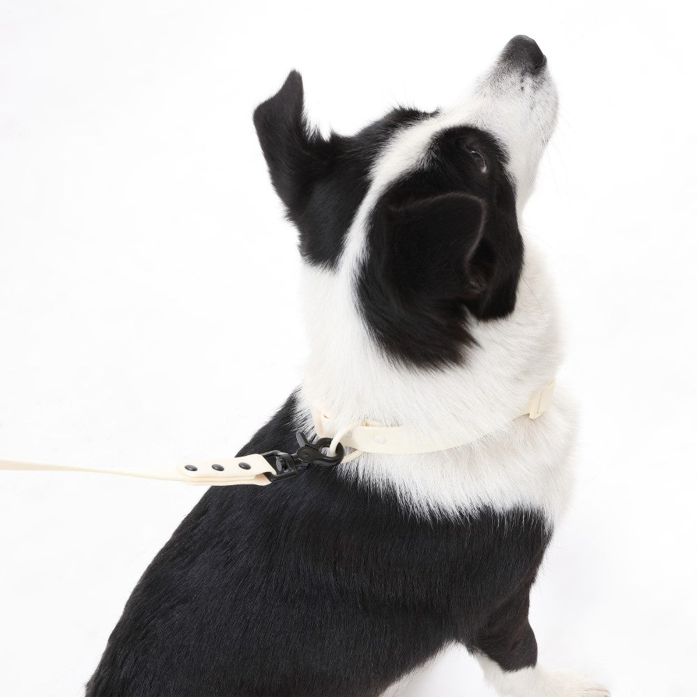 Shri 8FT Adjustable 6-in-1 Waterproof Hands-Free Leash and Collar with LED Flashlight Bag Dispenser and Poop Bag Holder